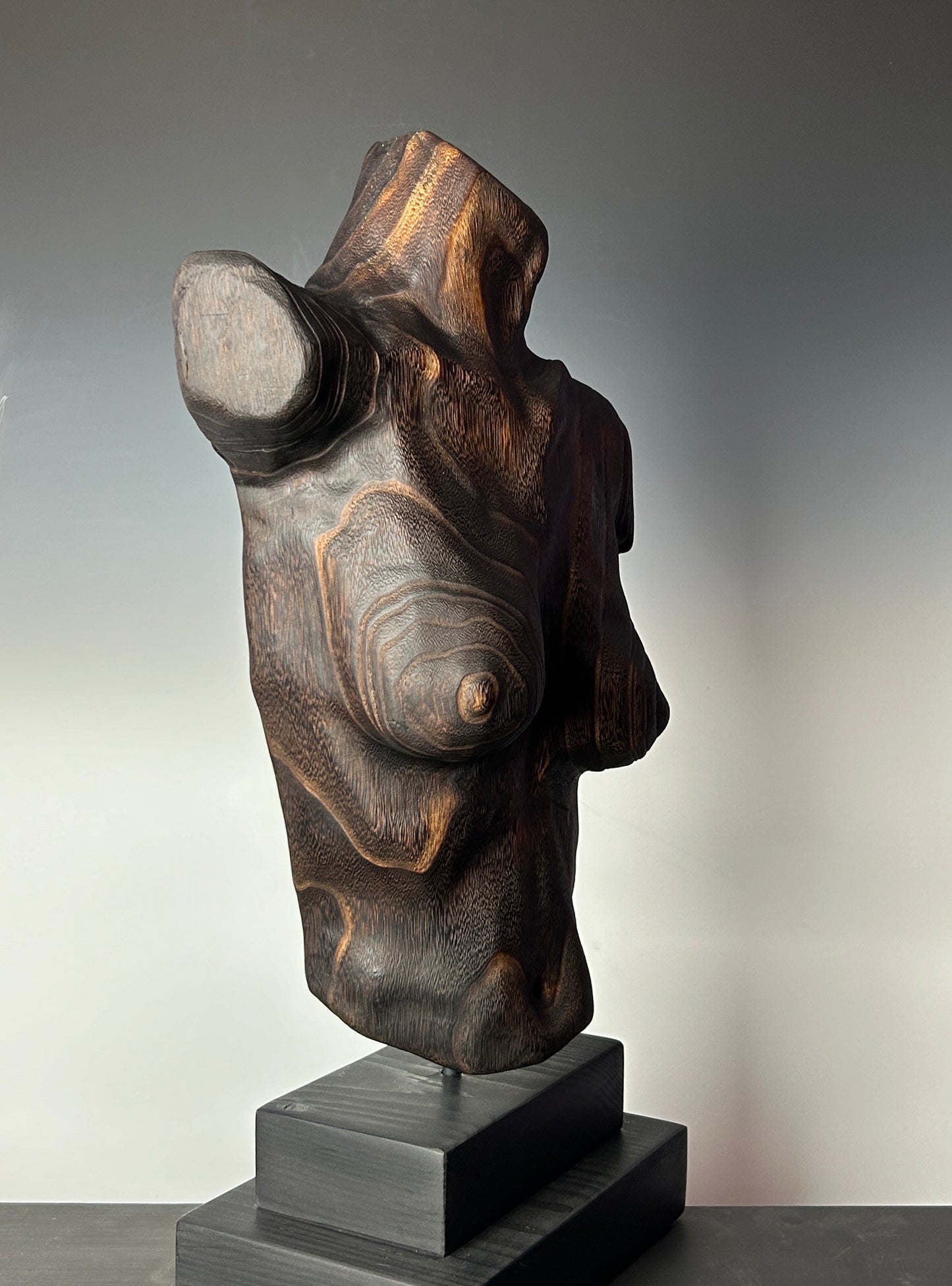 "LINES OF RESILIENCE II" HAND CARVED WOOD SCULPTURE