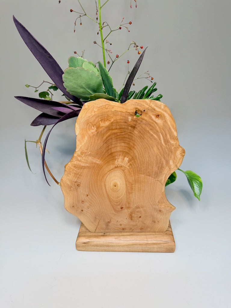 CHERRY BURL AND MAPLE 1 VASE ROOTER