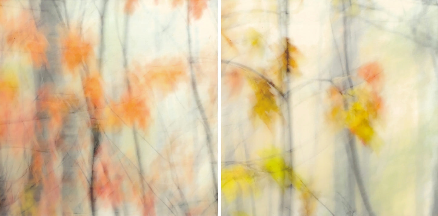 "EPHEMERAL" PHOTOGRAPHY/ENCAUSTIC BEESWAX DIPTYCH
