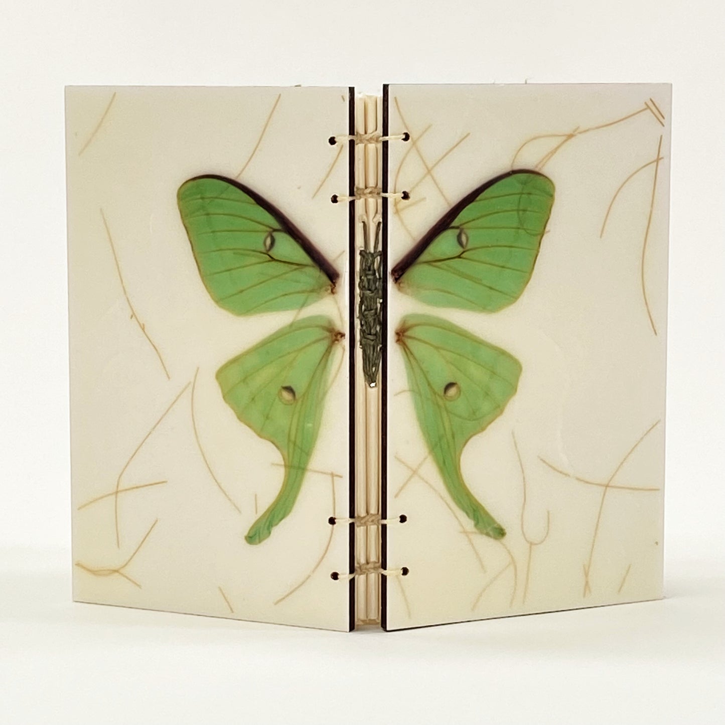 LUNA MOTH JOURNAL BOOK - ENCAUSTIC BEESWAX COVERS AND HANDMADE BINDING