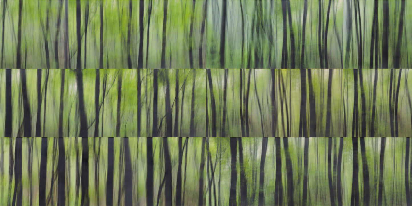 "STILLNESS IN MOTION" PHOTOGRAPHY/ENCAUSTIC BEESWAX