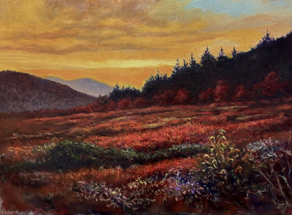 "BLACK BALSAM SUNSET" ORIGINAL OIL PAINTING ON CANVAS/FRAMED