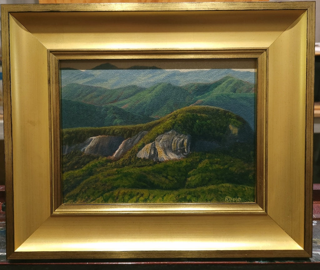 "AUTUMN MORNING, LOOKING GLASS ROCK" Original Framed Oil on Linen Panel