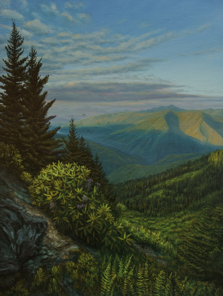 "EVENING SHADOWS, BLUE RIDGE HIGH COUNTRY" Original Oil on Stretched Linen/Framed