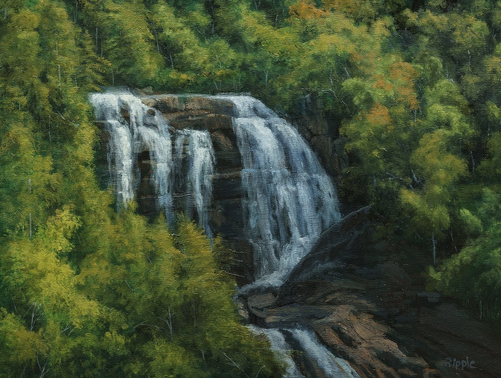 "WHITEWATER FALLS MORNING FIELD STUDY MAY 17" Original Oil on Linen Panel/Framed