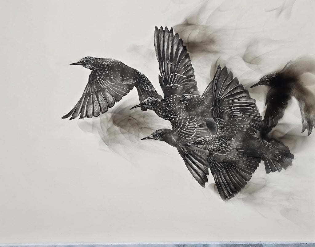 "MURMURATION OF SHADOWS" ORIGINAL FUMAGE DRAWING ON CLAY BOARD/FRAMED