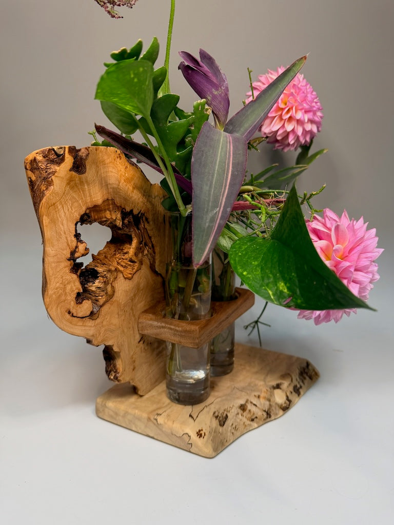 WALNUT BURL ON AMBROSIA MAPLE BASE AND CHESTNUT SHELF DOUBLE TUBE ROOTER