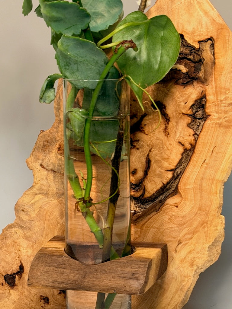 MAPLE BURL ON WALNUT BASE SINGLE TUBE ROOTER