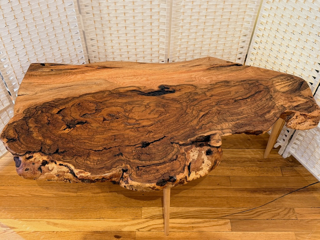 RED OAK BURL COFFEE TABLE WITH AMBROSIA MAPLE LEGS