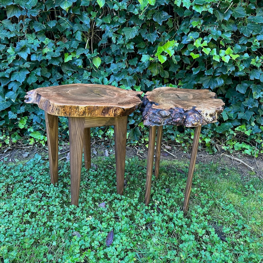 DOUBLE MAPLE COOKIE SPLIT INTO 2 TABLES ON WALNUT LEGS