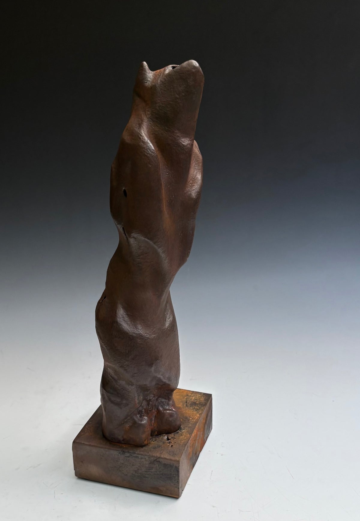 "MIDNIGHT ROMEO" HAND CARVED BLACK CHERRY SCULPTURE WITH OXIDIZED IRON COATING
