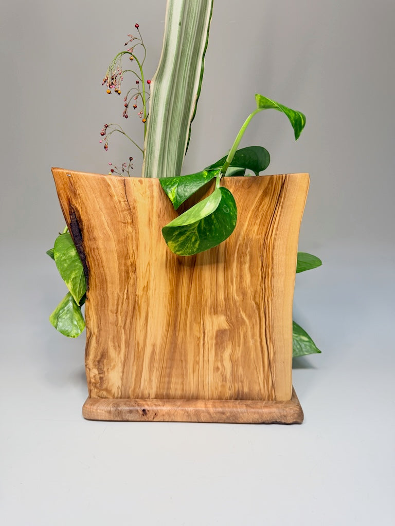 OLIVEWOOD, MAPLE, AND WALNUT 2 VASE ROOTER