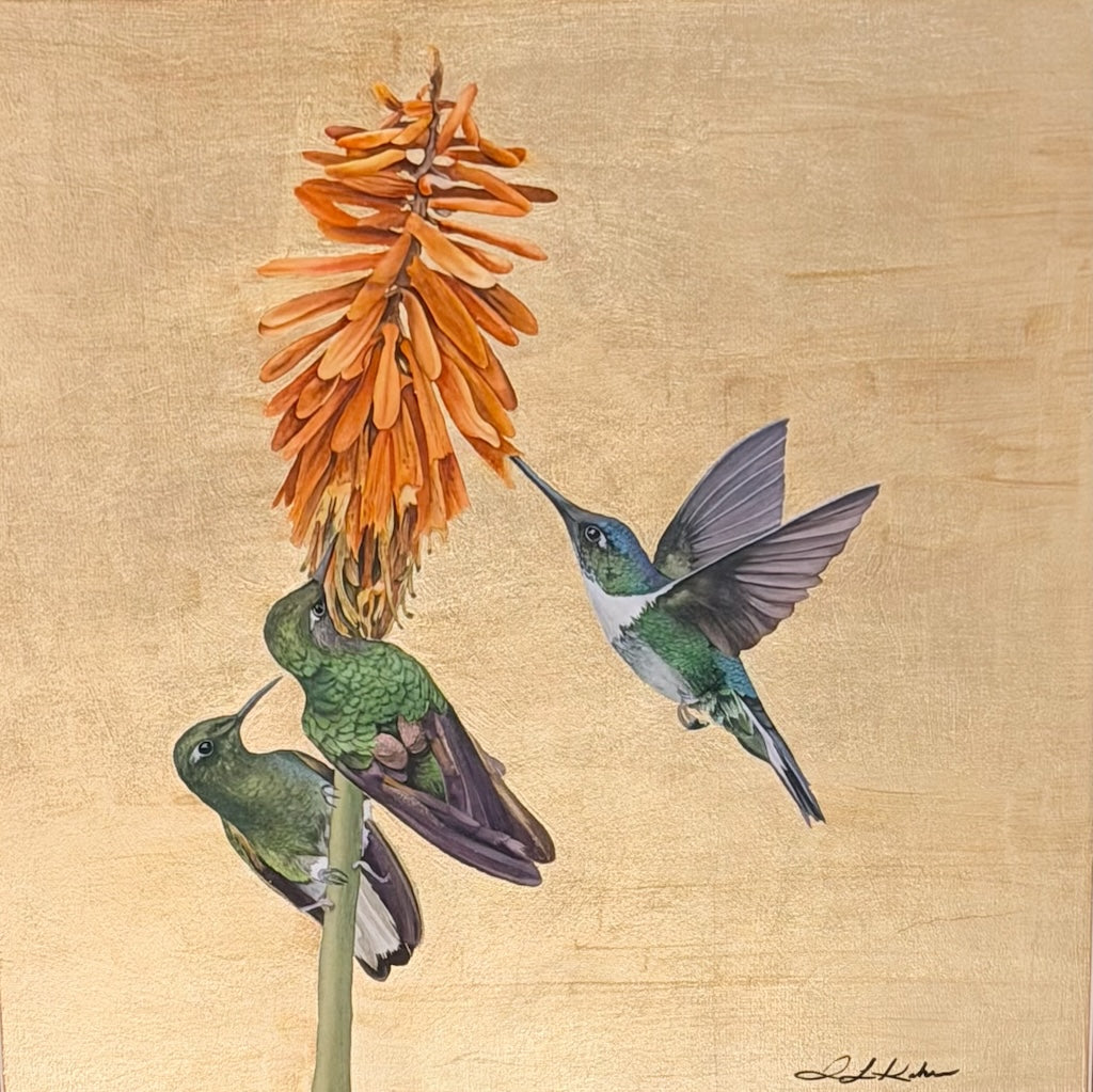 "HUMMINGBIRDS AND GOLDEN TORCH" ORIGINAL WATERCOLOR WITH GOLD LEAF/FRAMED