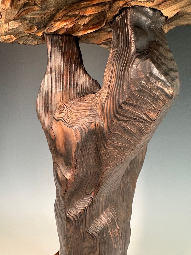 "SOLITUDE" WHITE PINE, GRAPHITE AND LEYLAND CYPRESS WOOD SCULPTURE