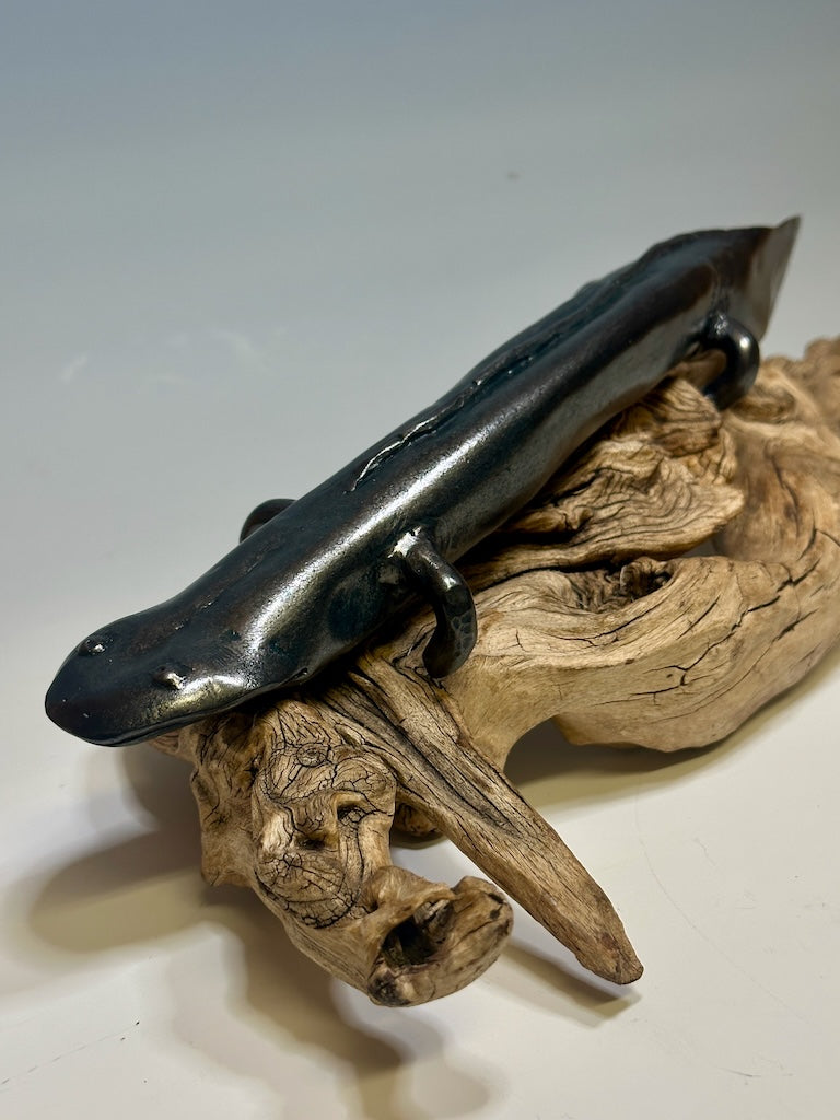 HELLBENDER 2 MIXED MEDIA SCULPTURE