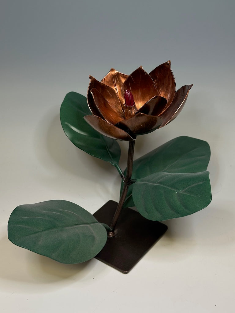 COPPER MAGNOLIA 4