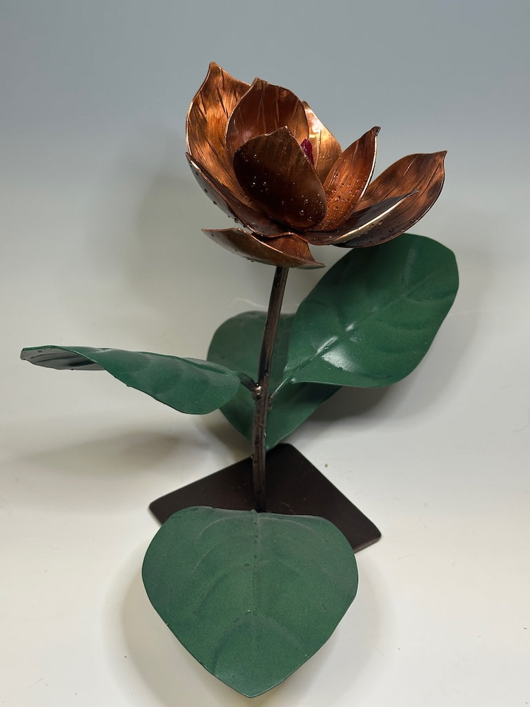 COPPER MAGNOLIA 2
