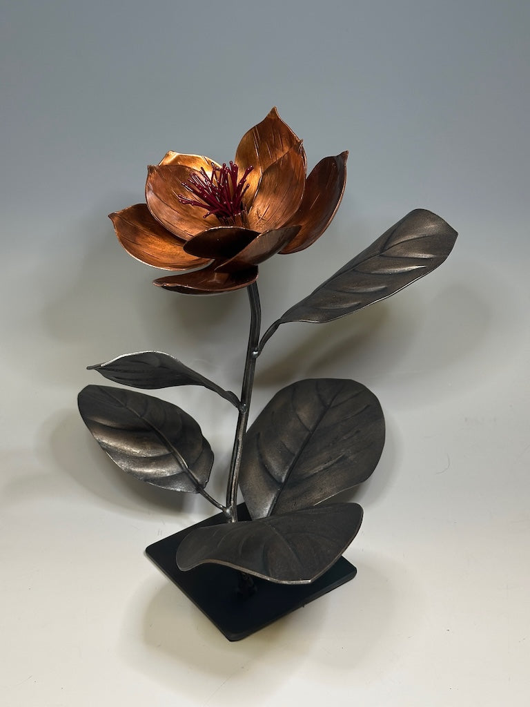 COPPER MAGNOLIA 1