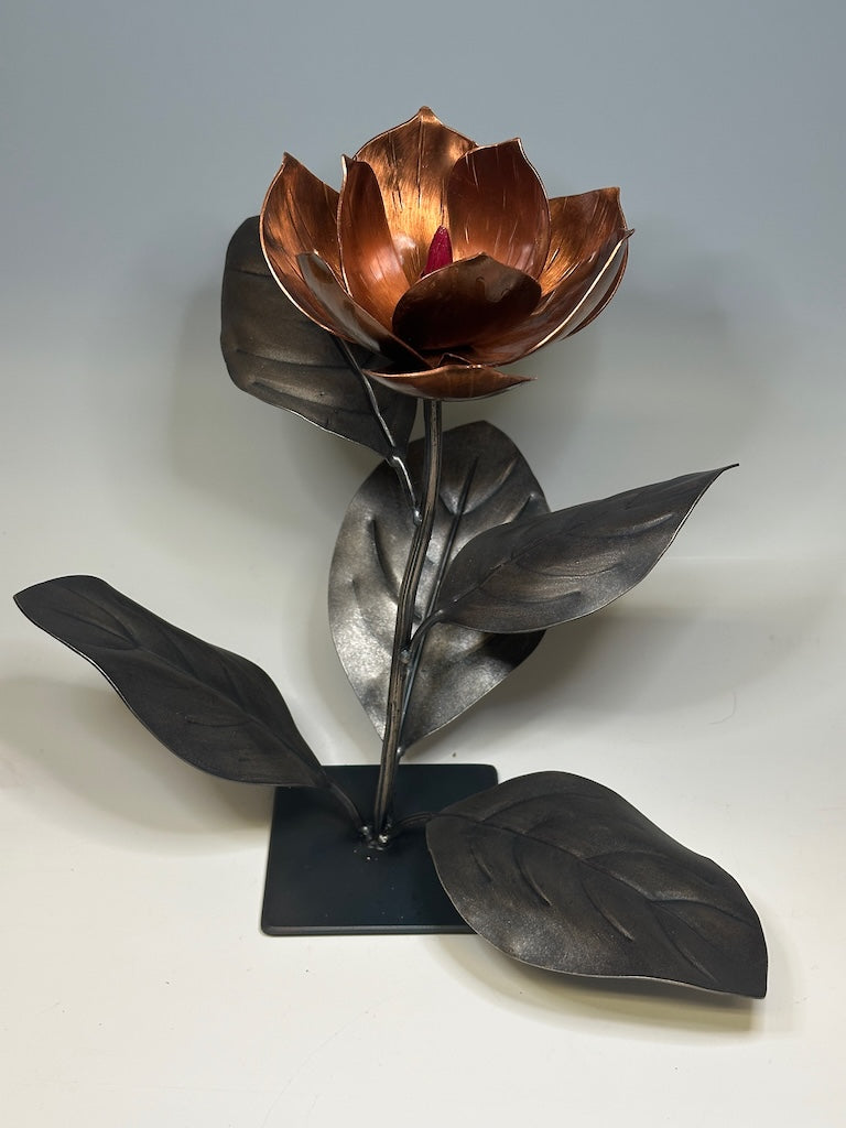 COPPER MAGNOLIA 3