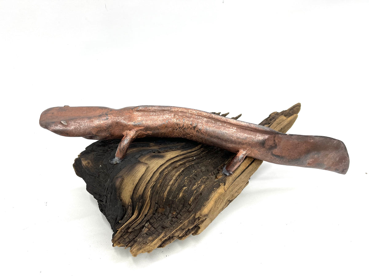 "COPPER HELLBENDER - SINGLE" HAND FORGED METAL SCULPTURE