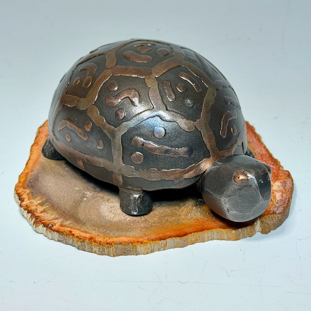 HAND FORGED TURTLE 4