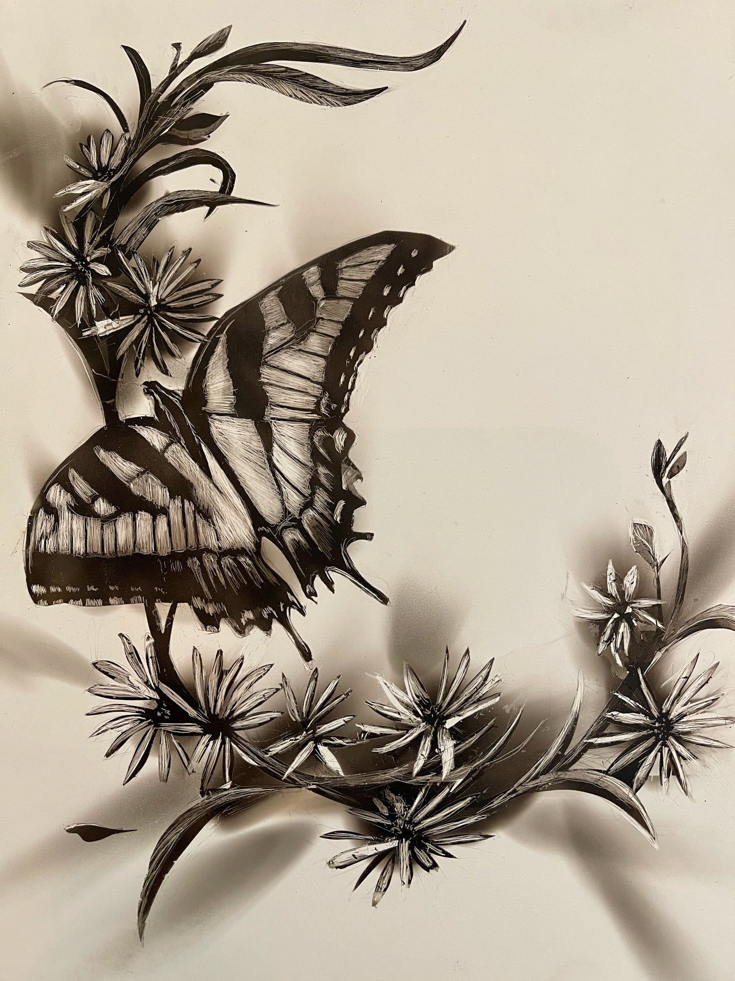 "Eastern Tiger Swallowtail” Fumage Drawing on Clay Board