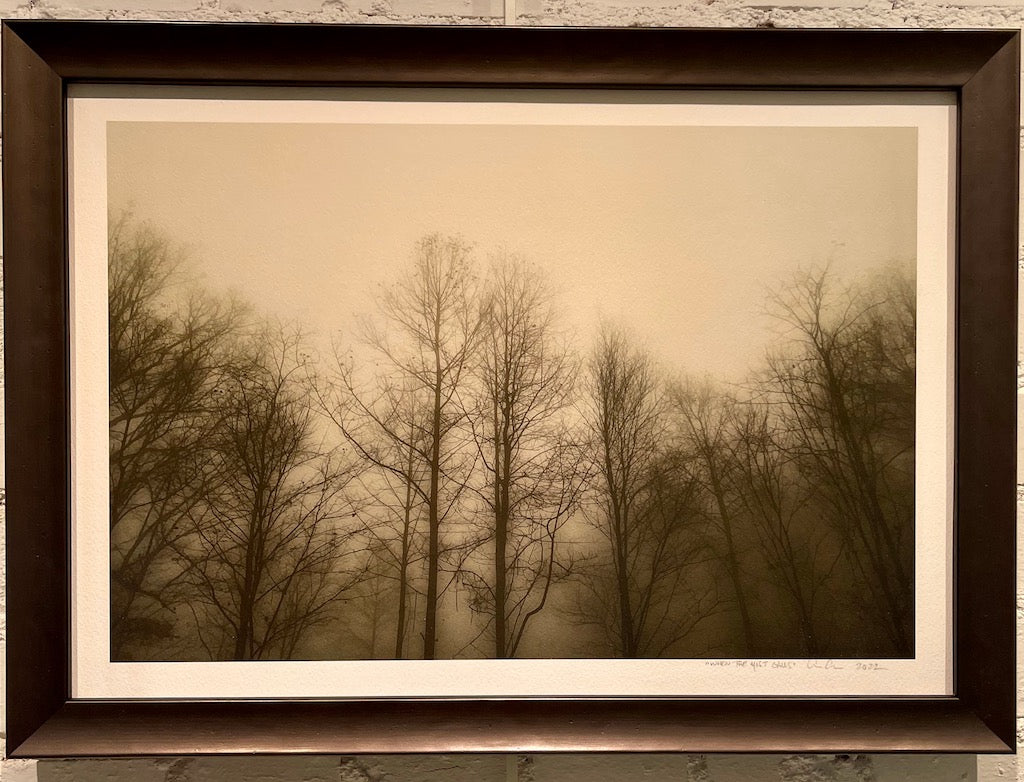 "When the Mist Calls" SMALL Sepia Framed Photography