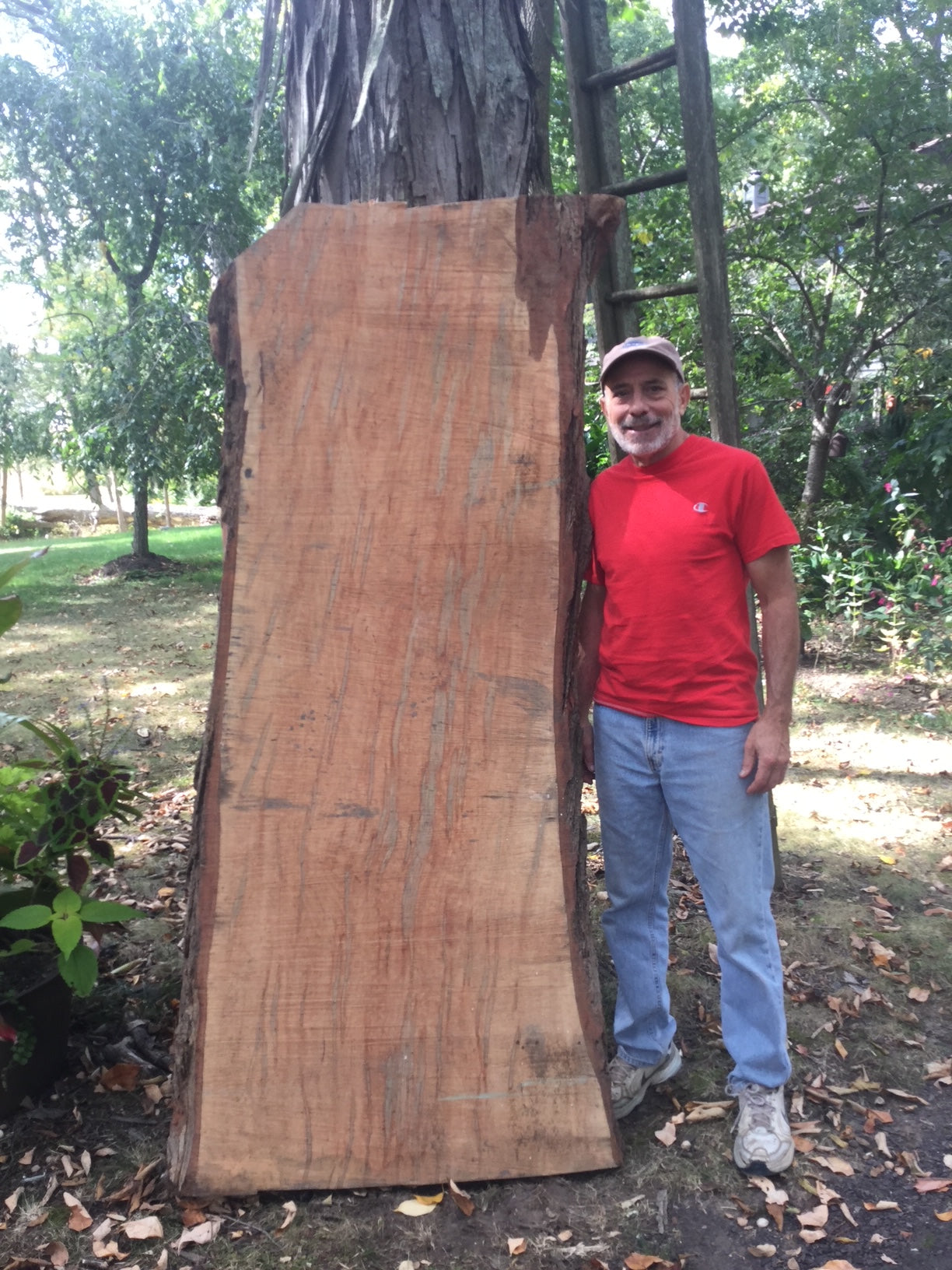 Artist: Larry Ricci – Page 2 – Lucy Clark Gallery and Studio