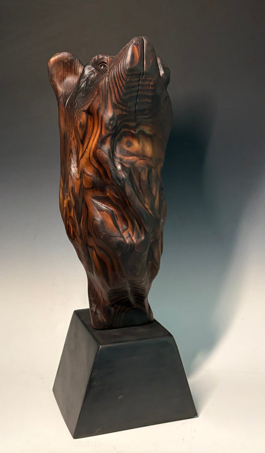 "GALILEO" HAND CARVED CYPRESS BEAR HEAD SCULPTURE