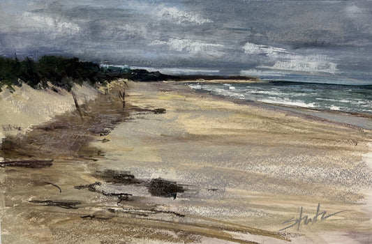 PAINTING SKIES WITH PASTEL WORKSHOP WITH ANNE STRUTZ, PSA, IAPS-MC