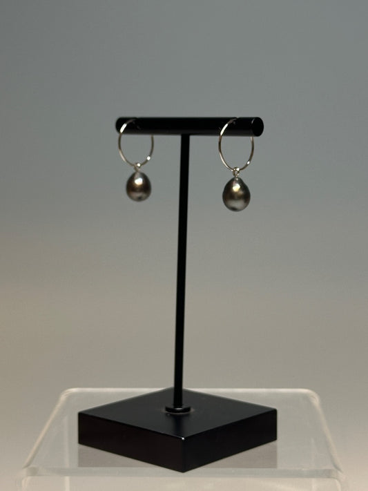 18K WHITE GOLD ROUND TAHITIAN PEARL  HOOP EARRINGS AV2511