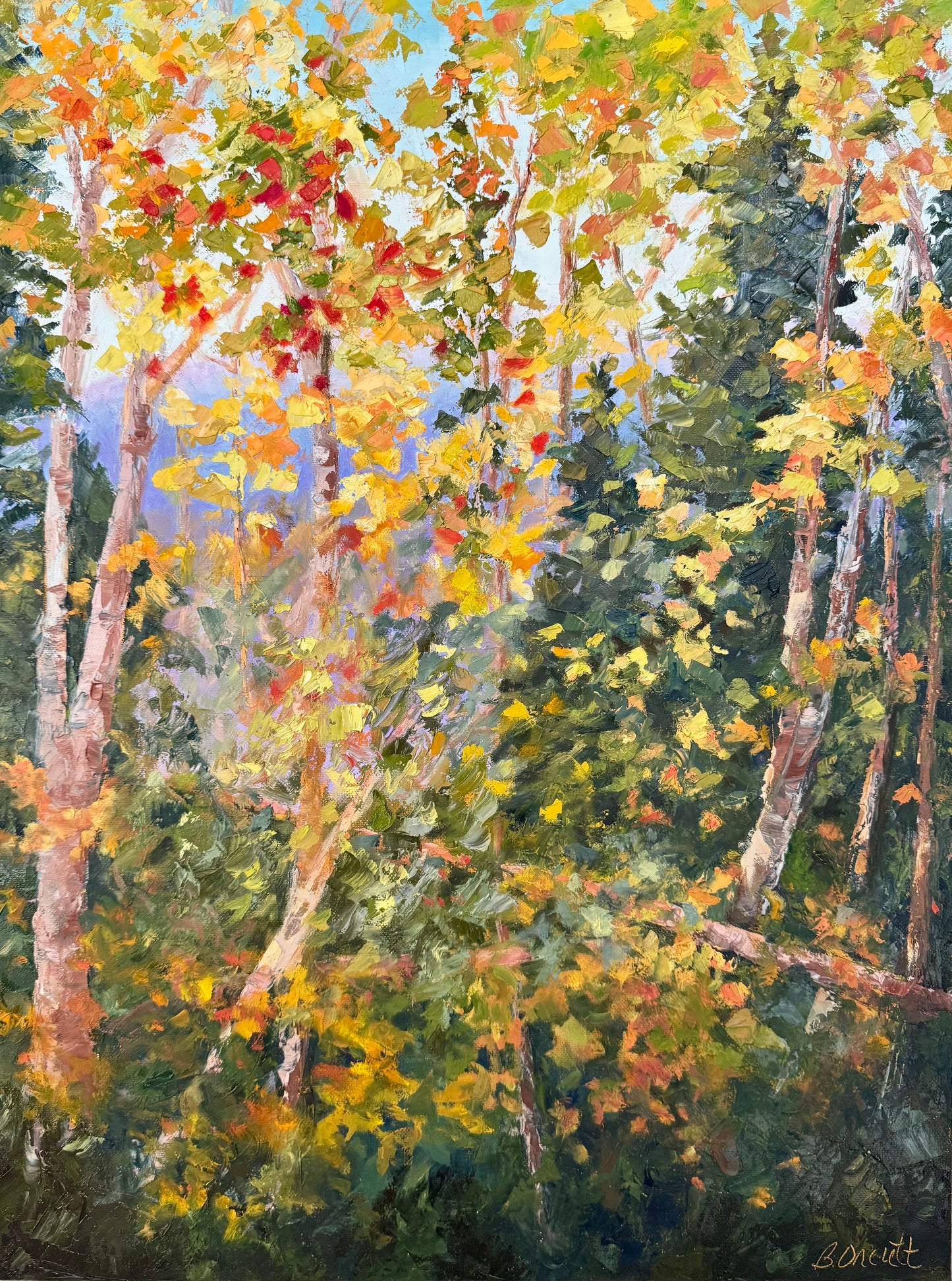 "LOOKING UP" `ORIGINAL OIL ON CANVAS/FRAMED