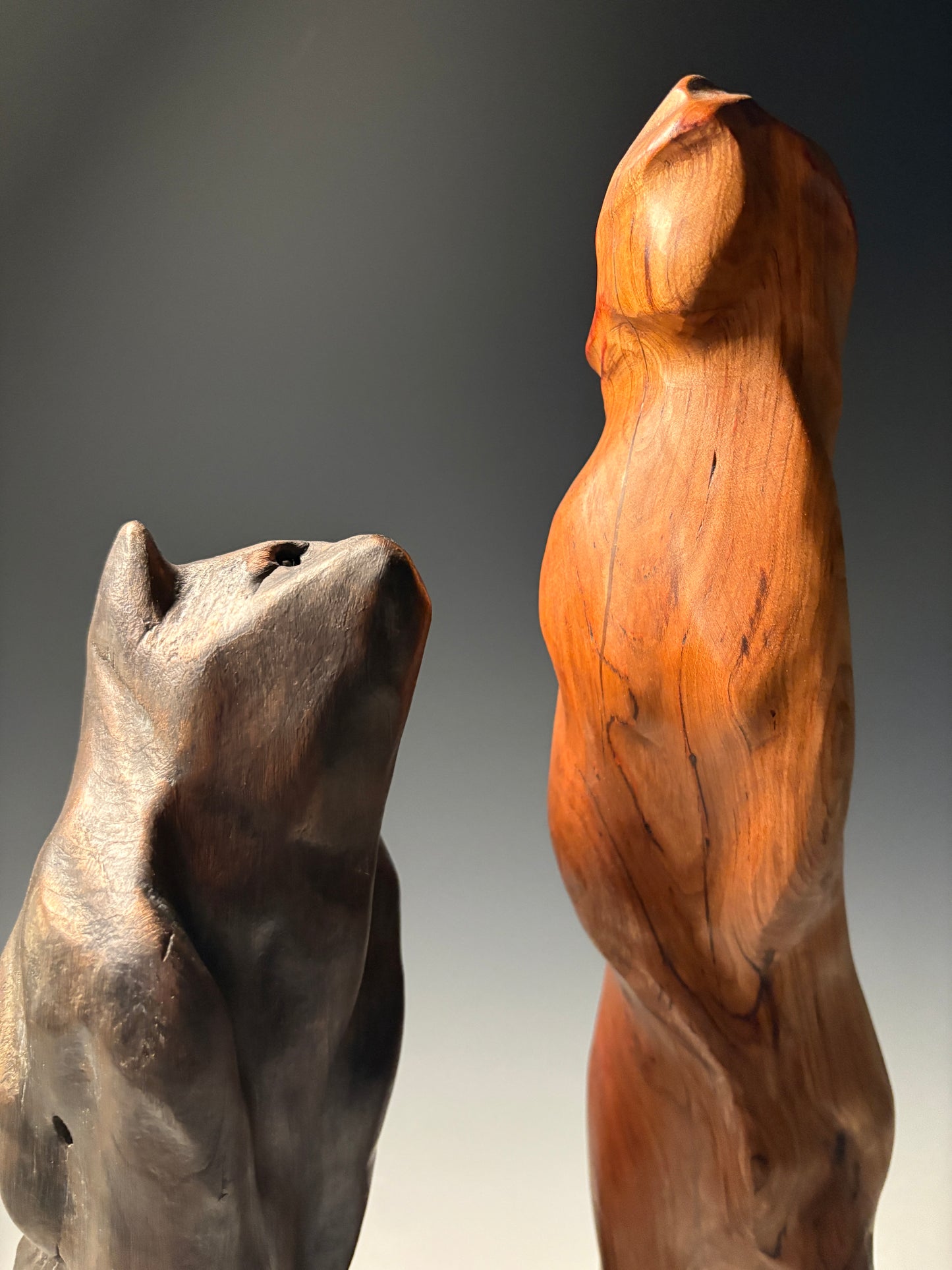 "BEAUTY AND THE BEAR" WILD CHERRY, SHOU SUGI BAN & WAX WOOD SCULPTURE