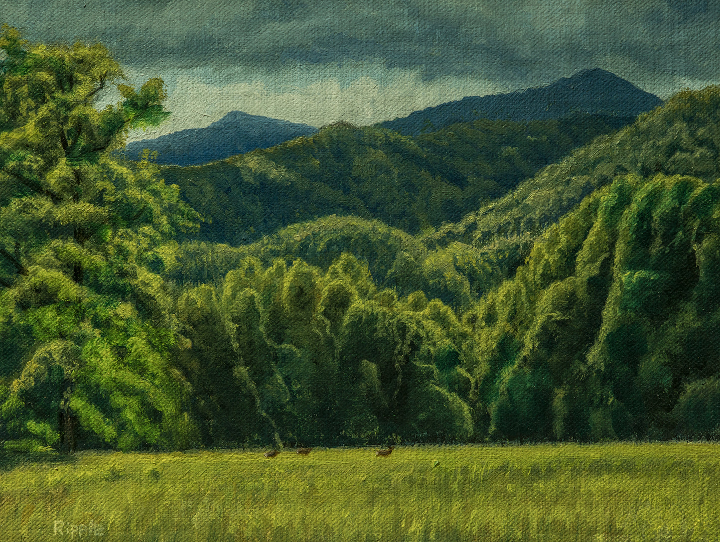 "CATALOOCHEE VALLEY AFTERNOON, JUNE 23 FIELD STUDY" Original Oil on Board/Framed