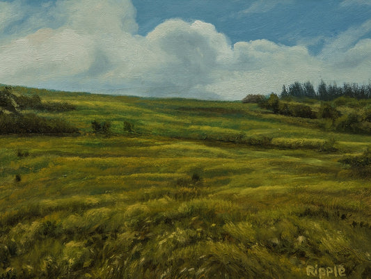 "CLOUDS AND SUN, CARVER'S GAP, JUNE 6 FIELD STUDY" Original Framed Oil Painting
