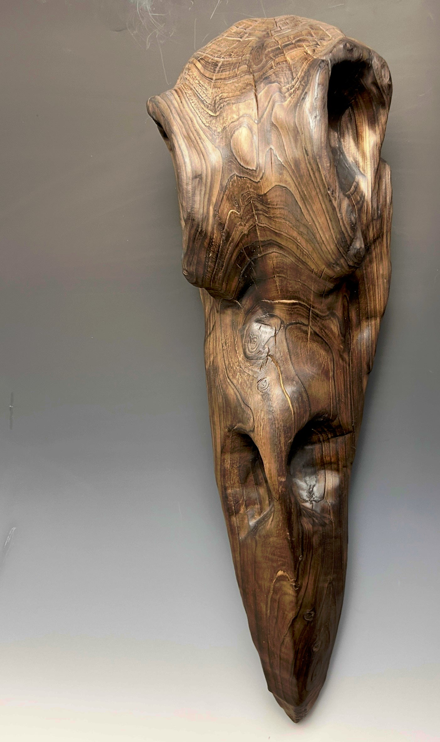 "CORVUS CRANIUM" LEYLAND CYPRESS WOOD SCULPTURE