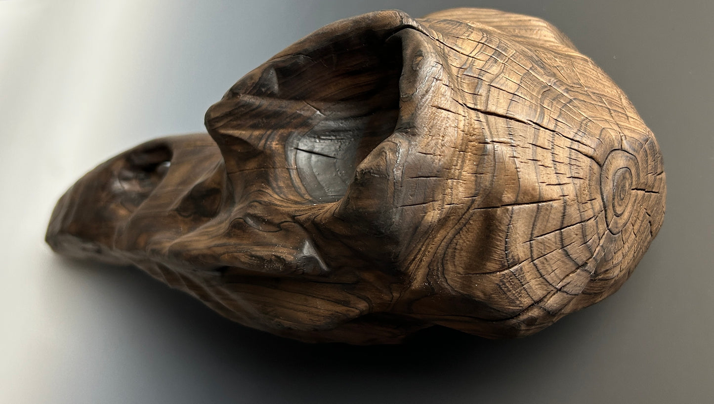 "CORVUS CRANIUM" LEYLAND CYPRESS WOOD SCULPTURE