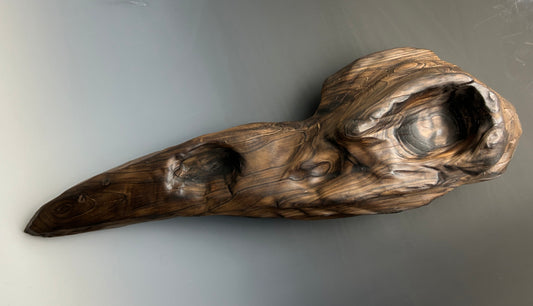 "CORVUS CRANIUM" LEYLAND CYPRESS WOOD SCULPTURE