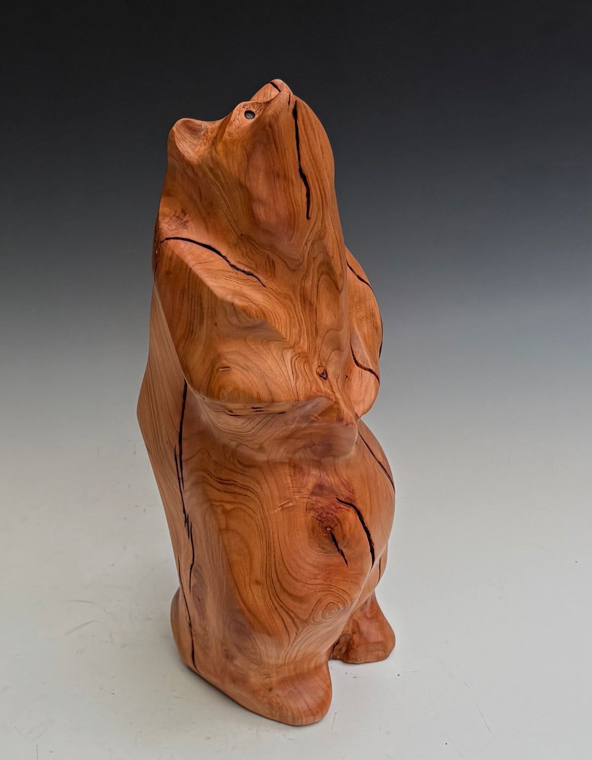"CRACKS OF FORTITUDE VII" HAND CARVED PLUM SCULPTURE