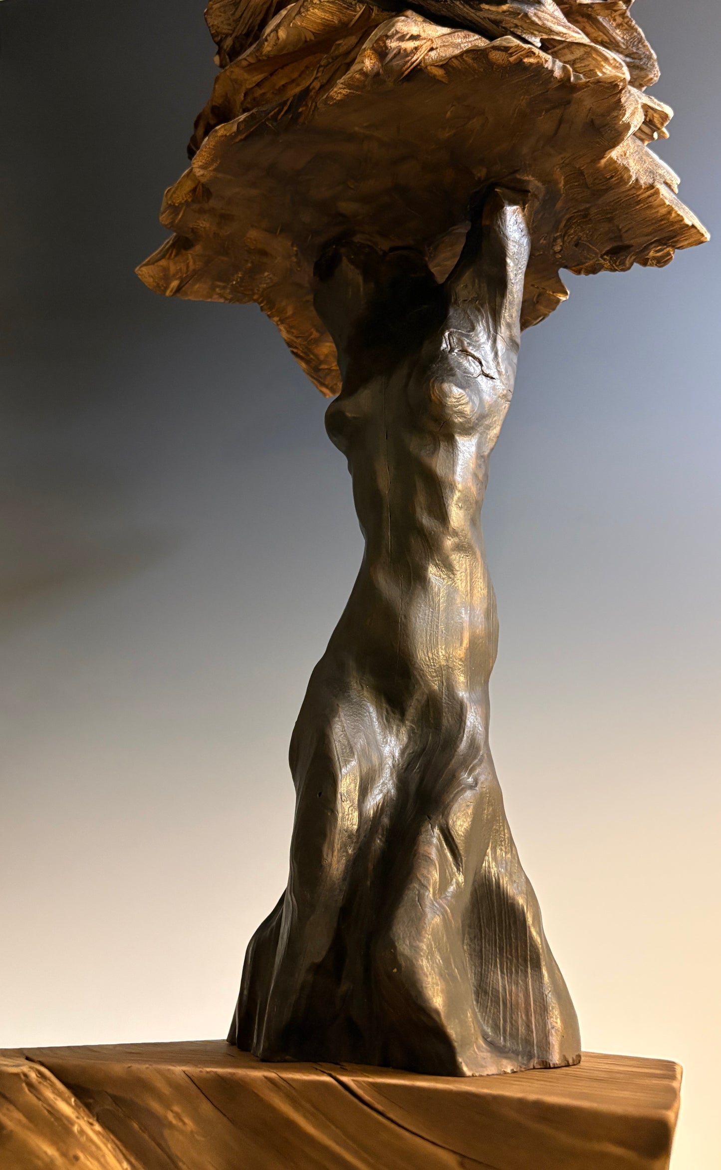 "DAPHNE" HAND CARVED CYPRESS & WHITE PINE SCULPTURE