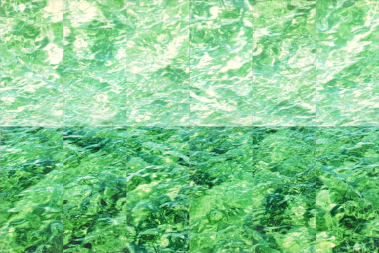 "BREATHE NEW LIFE" PHOTOGRAPHY/ENCAUSTIC BEESWAX/FRAMED