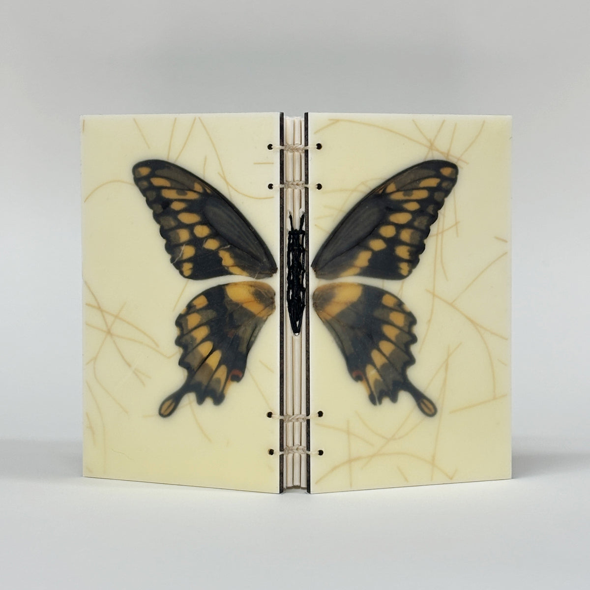 GIANT SWALLOWTAIL BUTTERFLY JOURNAL BOOK - ENCAUSTIC BEESWAX COVERS AND HANDMADE BINDING