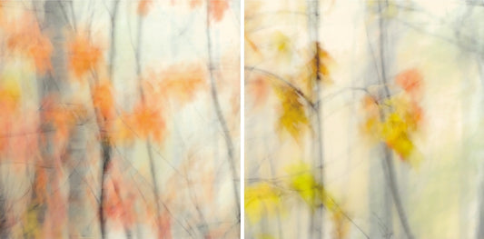 "EPHEMERAL" PHOTOGRAPHY/ENCAUSTIC BEESWAX DIPTYCH
