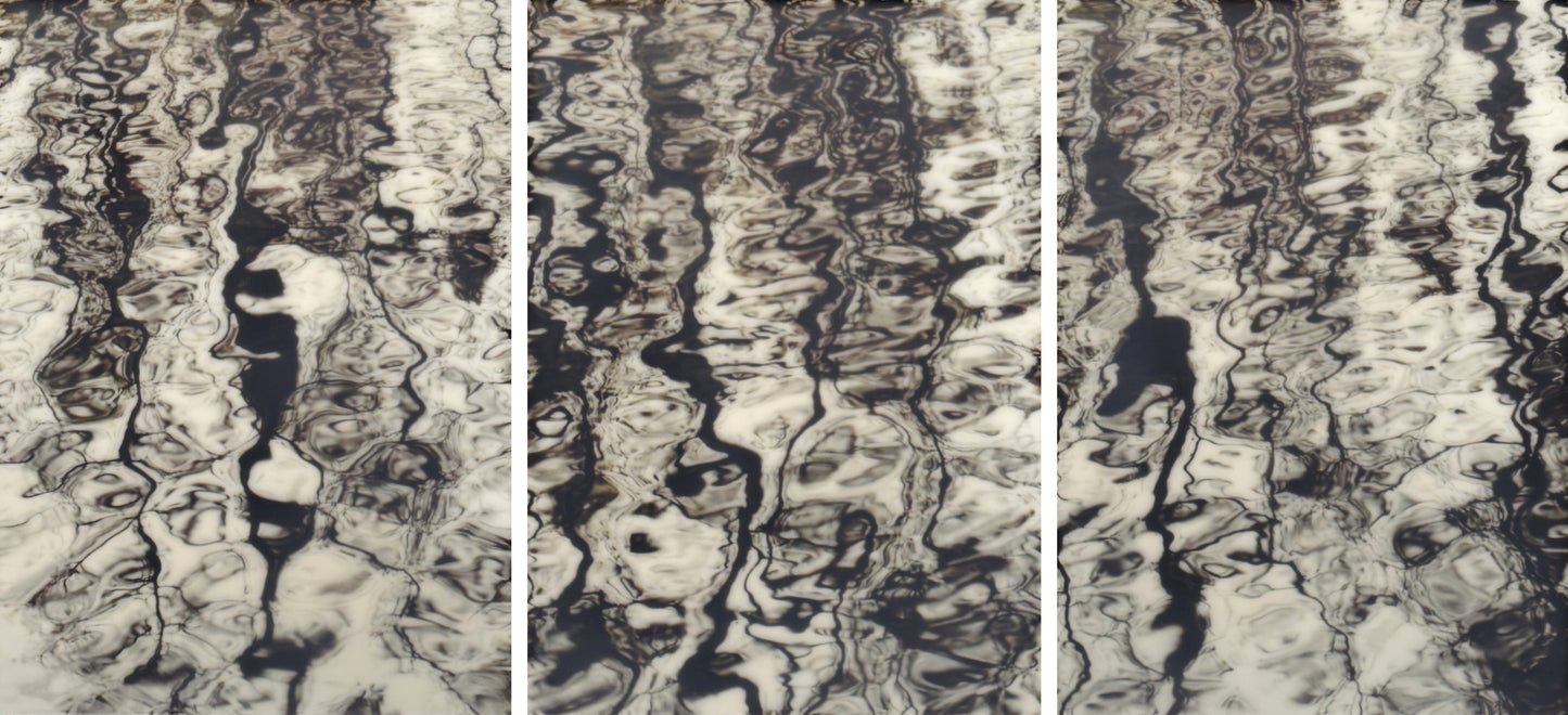 "INKLINGS"  PHOTOGRAPHY/ENCAUSTIC BEESWAX (TRIPTYCH)