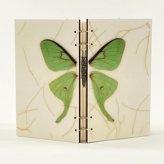 LUNA MOTH JOURNAL BOOK - ENCAUSTIC BEESWAX COVERS AND HANDMADE BINDING
