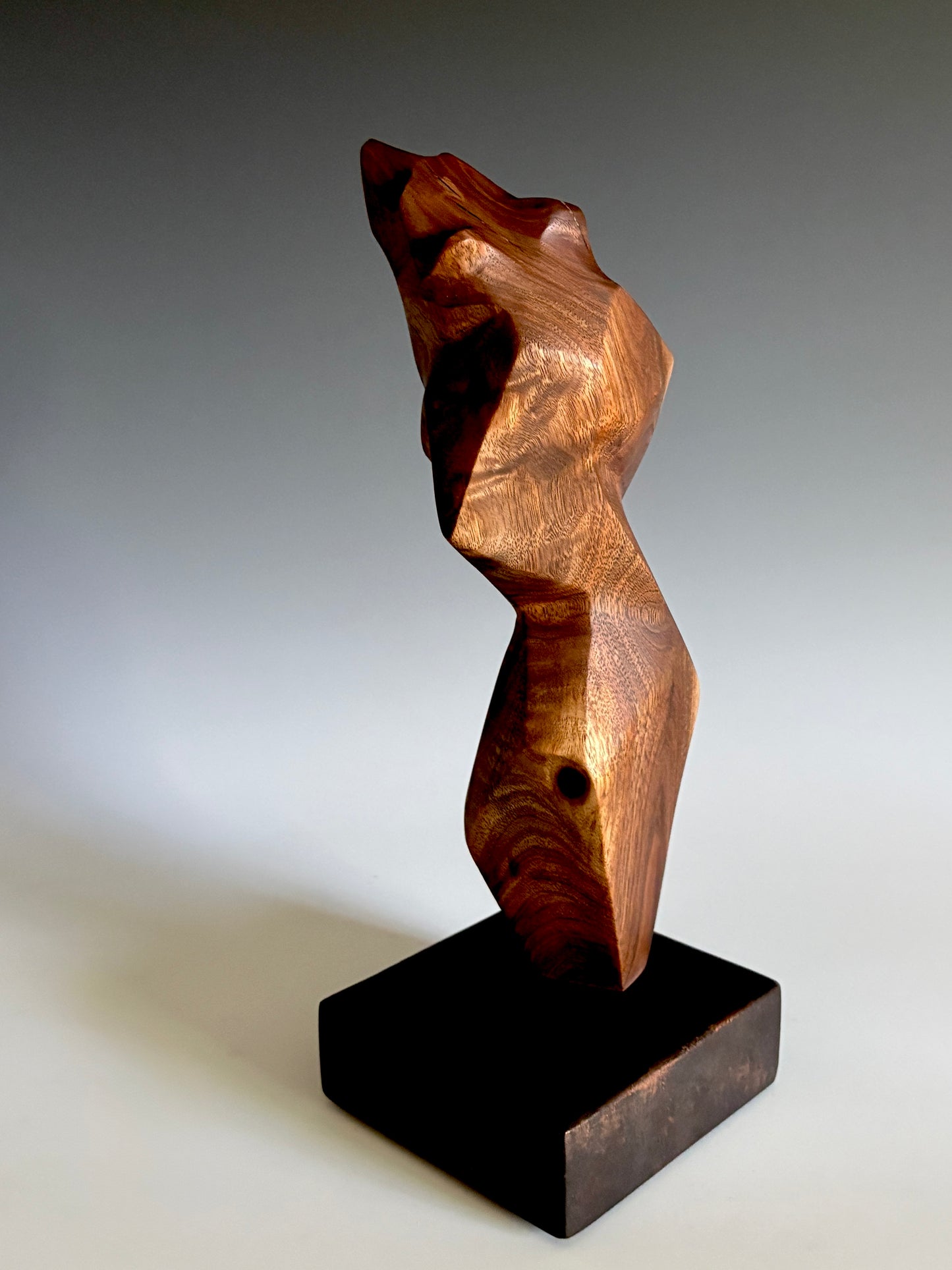 "FACETS OF NATURE II" BLACK WALNUT & WAX WOOD SCULPTURE