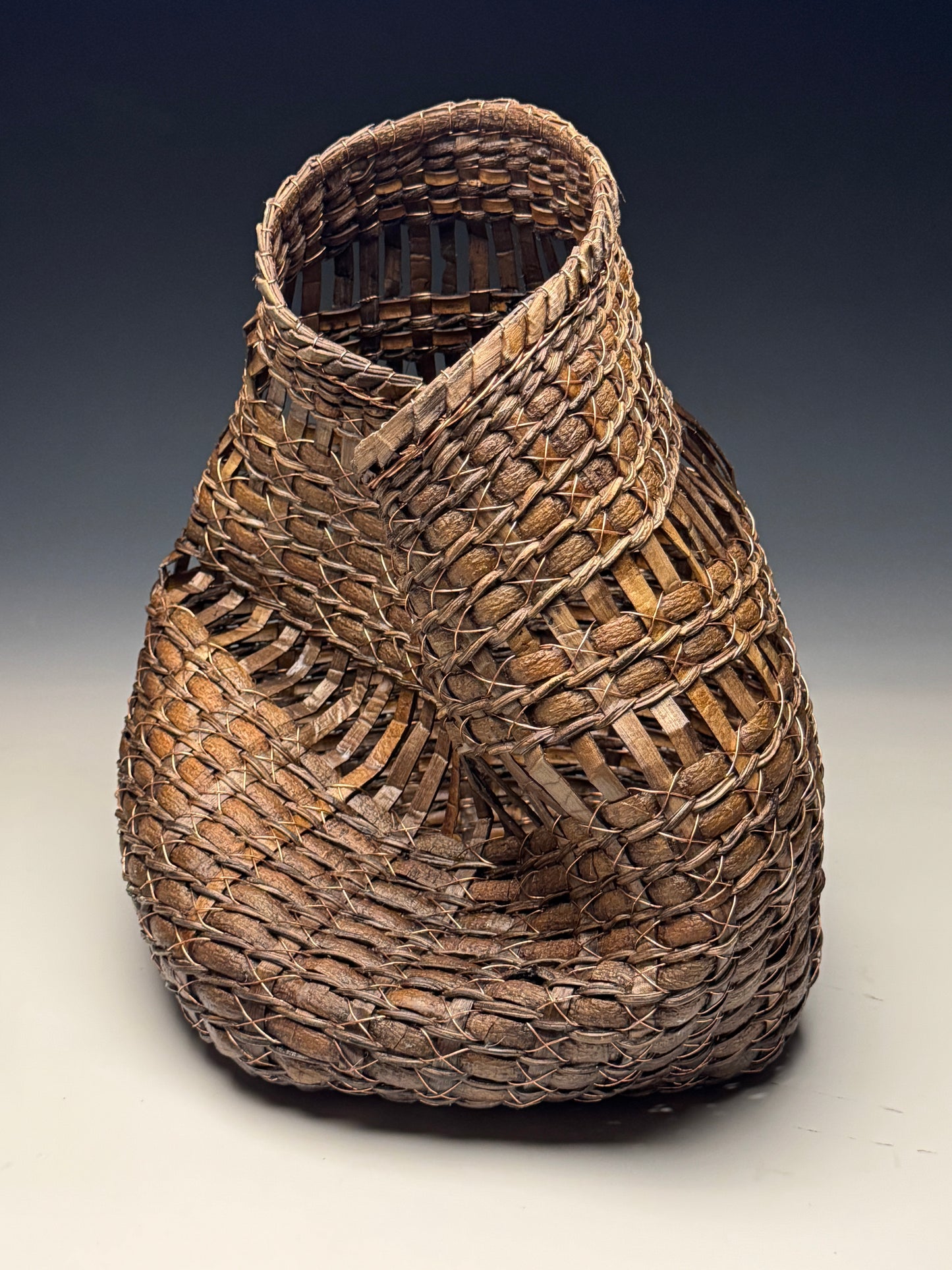 FREEFORM BARK & WIRE VESSEL 006