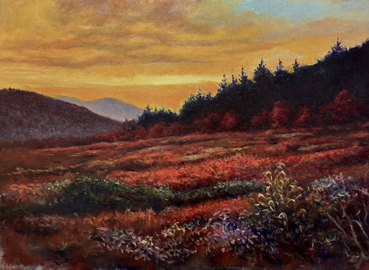 "BLACK BALSAM SUNSET" ORIGINAL OIL PAINTING ON CANVAS/FRAMED