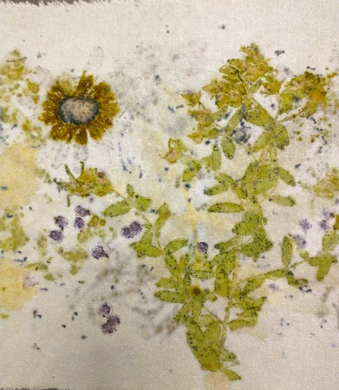 THE MAGIC OF ECO-PRINTING II 2 DAY WORKSHOP WITH DIANE KUEHN