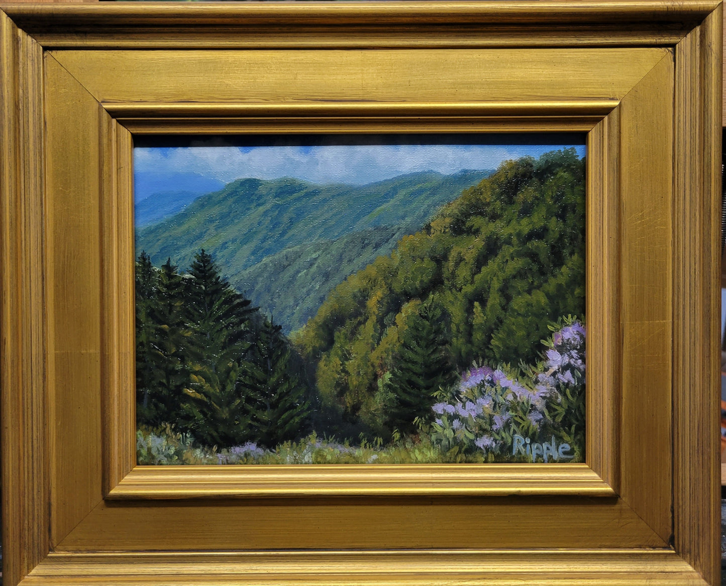 "Morning View at Fork Ridge Overlook, June 13"  Original Framed Oil Painting